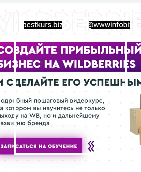 Создайте прибыльный бизнес на Wildberries - Ирина Афонина