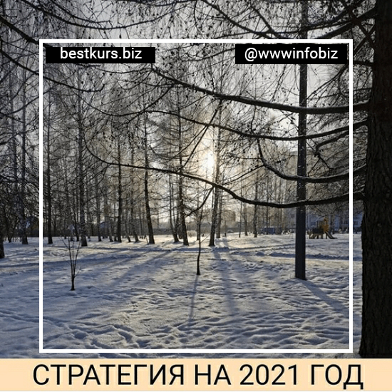 Стратегия на 2021 год – Александр Петров