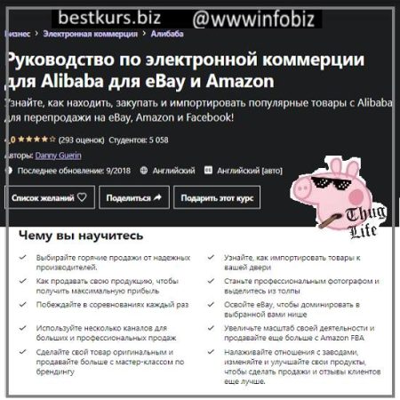 Руководство по перепродаже товаров с Alibaba на Amazon и eBay - Danny Guerin