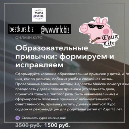 Образовательные привычки: формируем и исправляем - Наталья Блинова