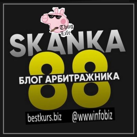 Facebook и Google ADS на белые офферы - Skanka88