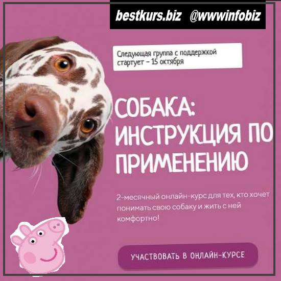 Собака: инструкция по применению 2021 - Антонина Зимарева