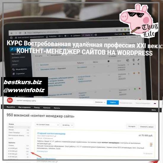 Профессия: контент-менеджер сайтов на WordPress 2021 - Seostayer