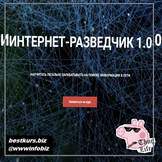 Интернет-разведчик 1.0 2021 - Александр Тимохин