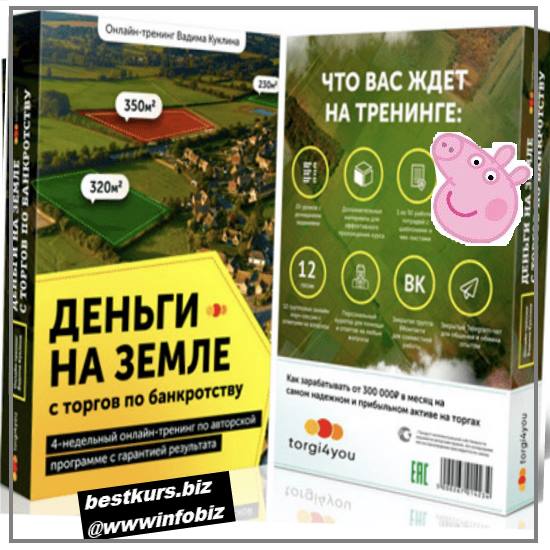 Деньги на земле с торгов по банкротству 2022 PLATINUM - Куклин Вадим