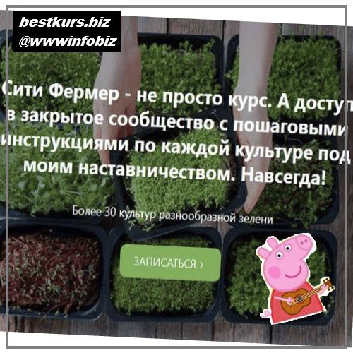 Сити Фермер: Свежая микрозелень у вас дома за одну неделю 2022 - Михаил Попов