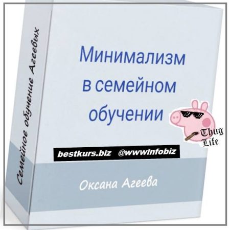 Минимализм в семейном обучении - Оксана Агеева (2021)