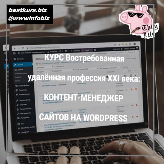 Профессия: контент-менеджер сайтов на WordPress 2021 - Владимир Колосов