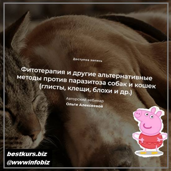 Фитотерапия и другие альтернативные методы против паразитоза собак и кошек 2022 - Ольга Алексеева