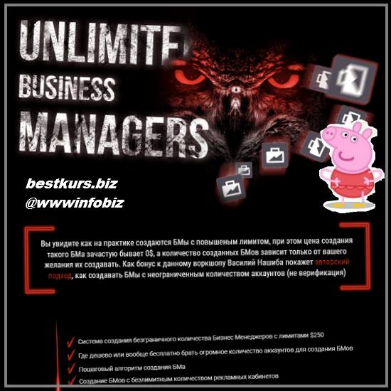 UNLIMITED BUSINESS MANAGER 2022 - Василий Нашиба