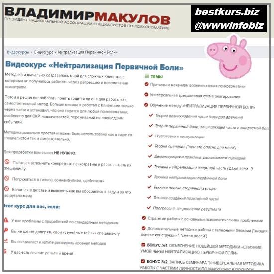 Нейтрализация Первичной Боли 2022 - Владимир Макулов