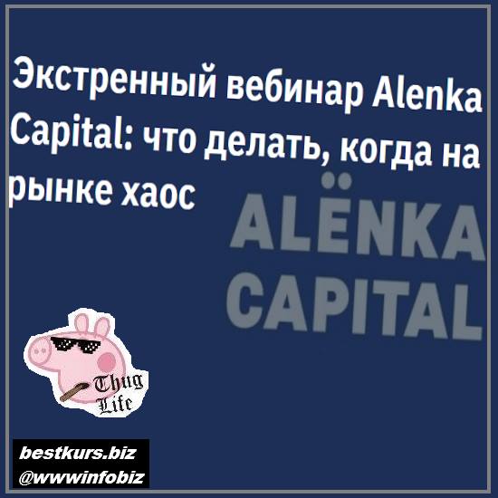 Экстренный вебинар Alenka Capital: что делать, когда на рынке хаос 2022 транскрибация 2stocks.ru - Элвис Марламов