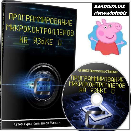 Программирование микроконтроллеров на языке С - Селиванов Максим