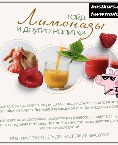 Лимонады и другие напитки 2022 leonov_chef - Сергей Леонов