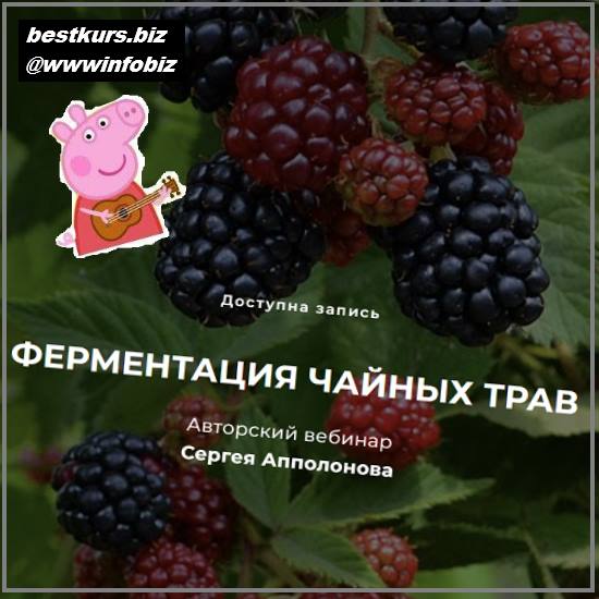 Ферментация чайных трав 2022 - Cергей Апполонов