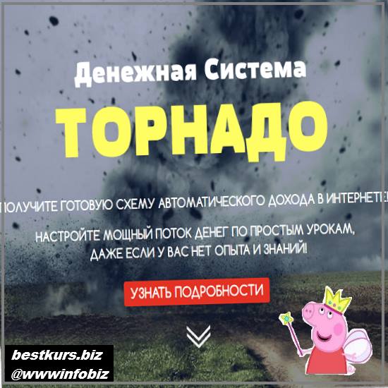 Денежная система «Торнадо» — Заработайте от 1000$ в месяц на телеграмм-ботах 2022 - Максим Калашник