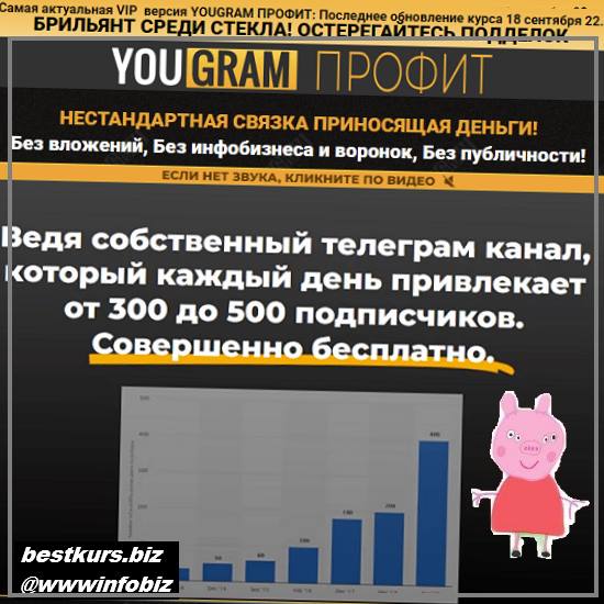 YOUGRAM ПРОФИТ - 2022 - Михаил Гнедко