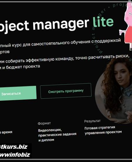 Project manager lite - 2022