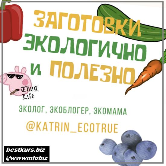 Заготовки экологично и полезно - 2022 Екатерины katrin_ecotrue