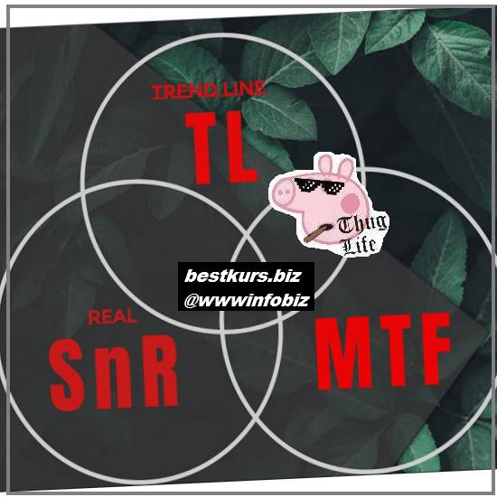 Супер курс – SNR TL MTF - GoldmanTrading