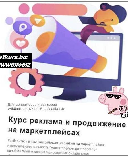 Реклама и продвижение на маркетплейсах - 2022 Goomni - Ефим Алдухов, Анатолий Казанцев