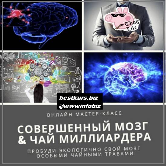 Совершенный мозг & Чай миллиардера - 2023 - Юрий Курский