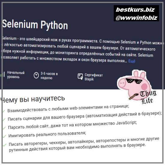 Selenium Python - 2022 Stepik - Павел Хошев