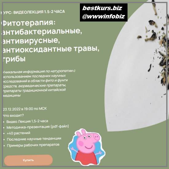Фитотерапия: антибактериальные, антивирусные, антиоксидантные травы, грибы - 2022 - Анастасия Родионова