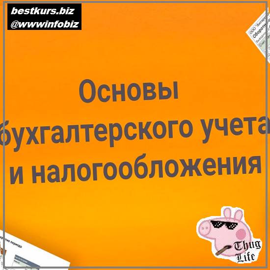 Основы бухгалтерского учета и налогообложения - 2023 - Елена Позднякова
