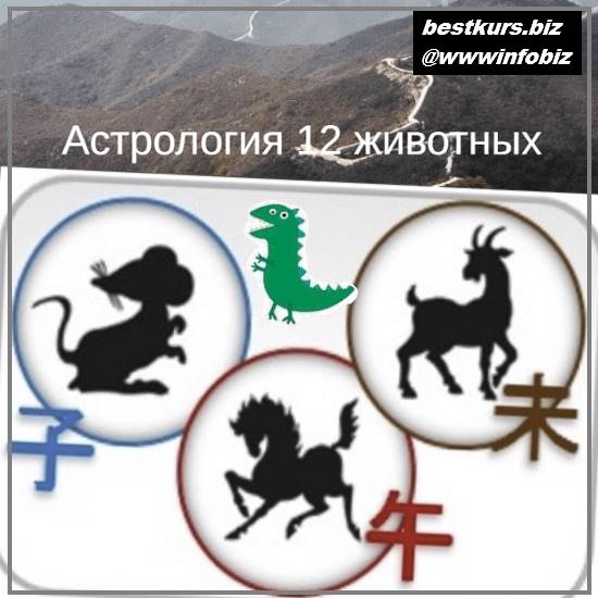 Астрология 12 животных - 2023 - Юлия Бальсина