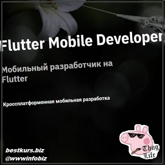 Flutter Mobile Developer. Весь курс - Otus - Андрей Смирнов, Никита Спирьянов