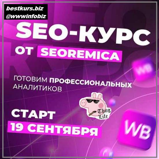 SEO для wildberries 3.0 - 2022 Seoremica - Павел