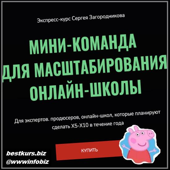 Мини-команда для масштабирования онлайн-школы - 2023 - Сергей Загородников