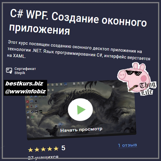 C# WPF. Создание оконного приложения. Stepik - Руслан Шишмарев