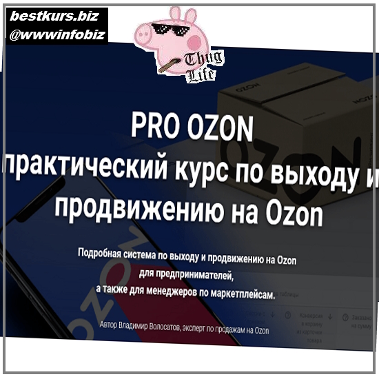 Pro Ozon 2.0 (тариф “Базовый”) - Владимир Волосатов Pro Ozon 2.0 (тариф “Базовый”) - Владимир Волосатов