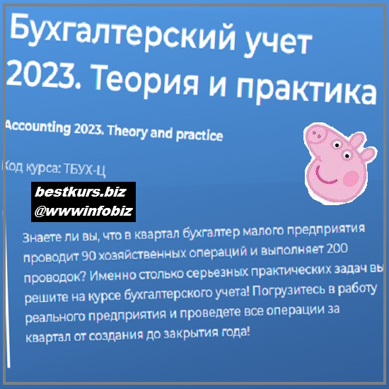 Бухгалтерский учёт 2023. Теория и практика - Специалист - Екатерина Санкина