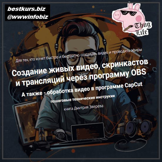 Создание живых видео, скринкастов и трансляций через программу OBS - 2023 - Дмитрий Зверев Создание живых видео, скринкастов и трансляций через программу OBS - 2023 - Дмитрий Зверев