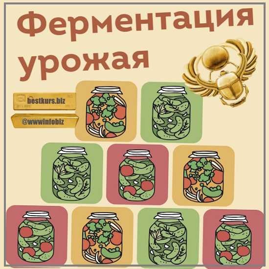 Ферментация урожая - 2023 Ferment in wonderland - Мария Сочилкина