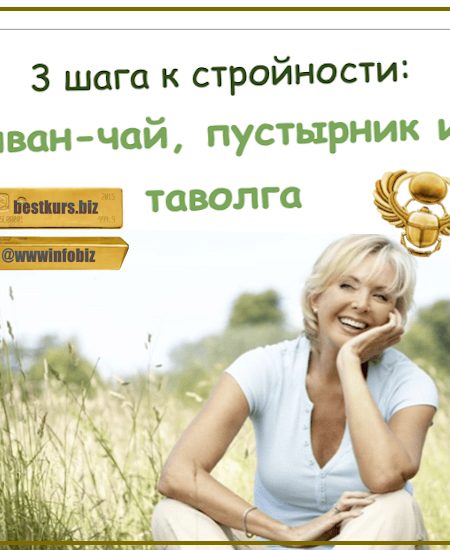3 шага к стройности: иван-чай, пустырник и таволга - Елена Горчакова (2023) Медвежий угол