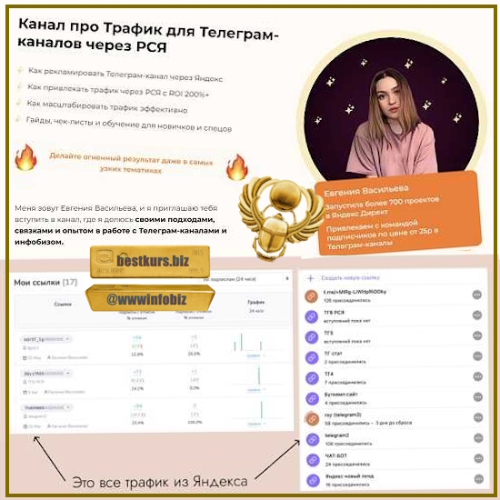 Подписчики в Телеграм-канал через Яндекс Директ - Евгения Васильева (2023)