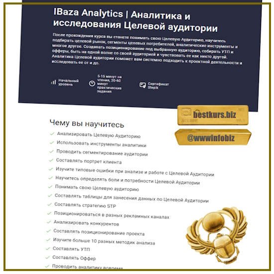 Аналитика и исследования Целевой аудитории (2023) IBaza Analytics