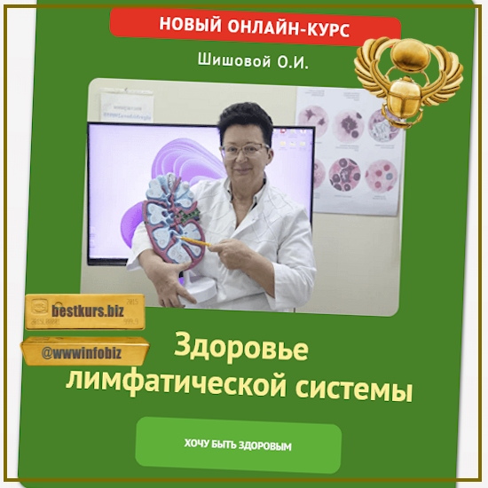 Здоровье лимфатической системы - Ольга Шишова (2023)