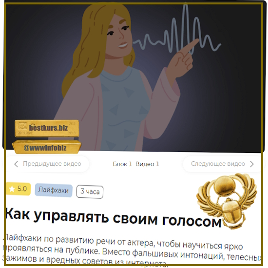 Как управлять своим голосом - Елизавета Волкова (2023) Правое полушарие интроверта