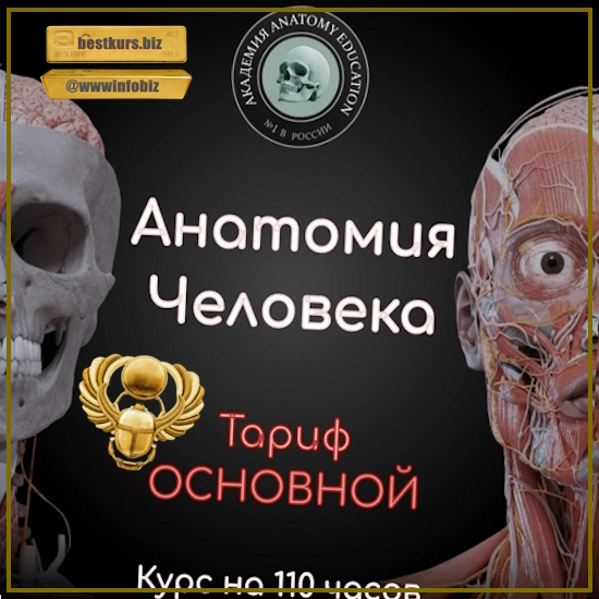 Анатомия человека - Эдгар Кафаров (2023)