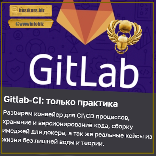 Gitlab-CI: только практика - Василий Егоров (2023) Real Manual