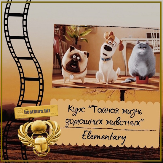 Курс по мультфильму “Тайная жизнь домашних животных” - Евгения Сушкова (2024) evgeniya_english_school Курс по мультфильму “Тайная жизнь домашних животных” - Евгения Сушкова (2024) evgeniya_english_school