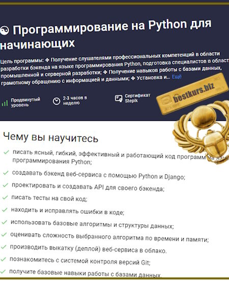 Программирование на Python для начинающих - Максим Дуплей (2024) Stepik