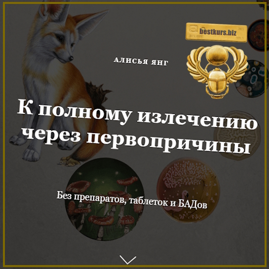К полному излечению через первопричины - Алисья Янг (2024) К полному излечению через первопричины - Алисья Янг (2024)