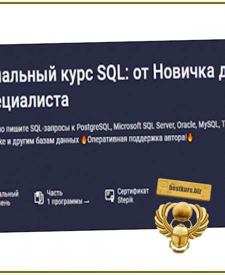 Начальный курс SQL: от новичка до специалиста - Влад Бурмистров (2025) Stepik