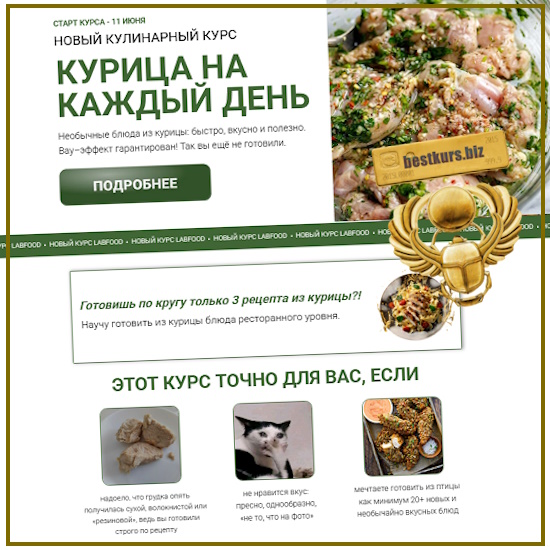 Курица на каждый день - Яна Нетреба (2025) Labfood Курица на каждый день - Яна Нетреба (2025) Labfood